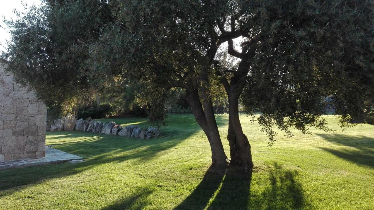B&B Majore Olbia Luaran gambar