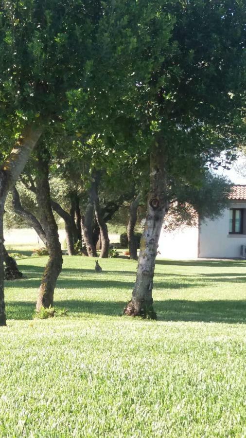 B&B Majore Olbia Luaran gambar